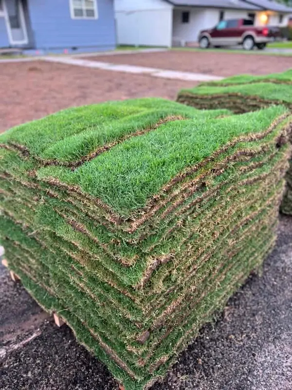 Sod Sales & Installation