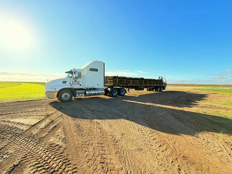 Trucking & Logistics